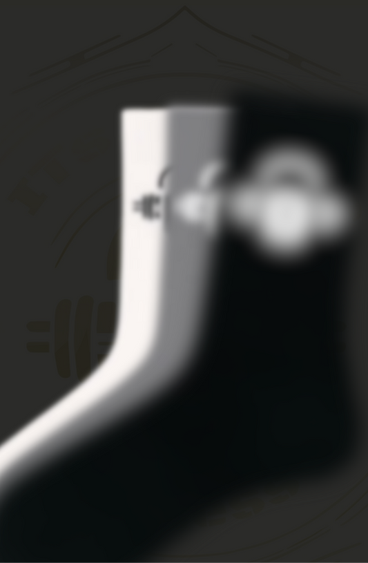 Mystery Sock
